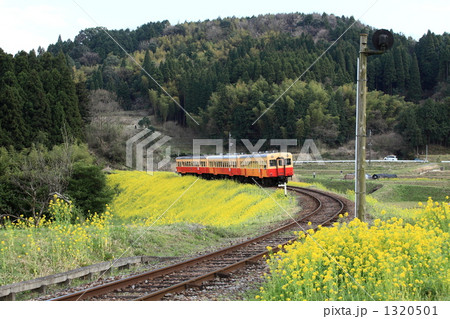 春の小湊鉄道 春の小湊鉄道 1320501