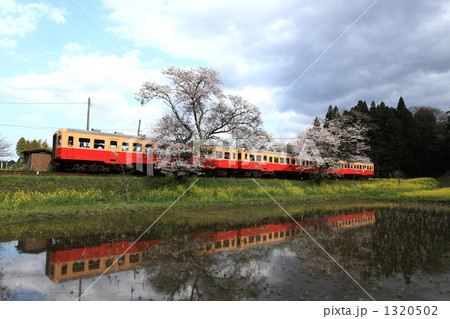 春の小湊鉄道 春の小湊鉄道 1320502