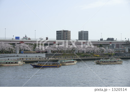 春の隅田川 1320514