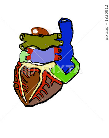 心臓後面 心臓後面 1320912