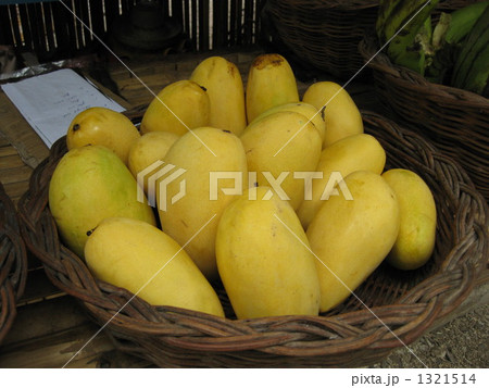 マンゴー 1321514