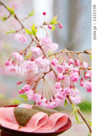 漆器の上の桜餅としだれざくら 1322146