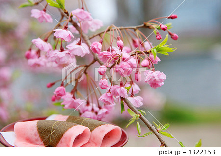 漆器の上の桜餅としだれざくら 1322153