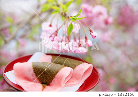 漆器の上の桜餅としだれざくら 1322156