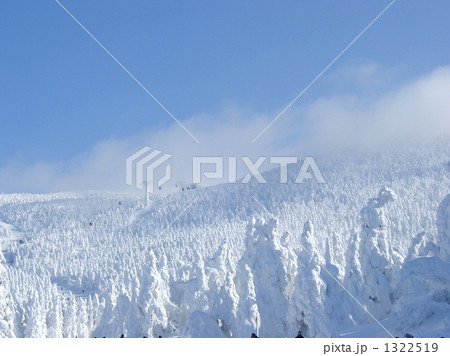 蔵王の樹氷原 蔵王の樹氷原 1322519