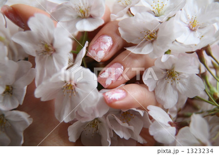 春の桜ネイル 1323234