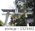 滝山東照宮　鳥居 1323402
