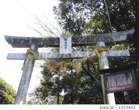 滝山東照宮　鳥居 1323402