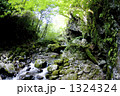 長野県清里高原の川俣川東沢渓谷 1324324