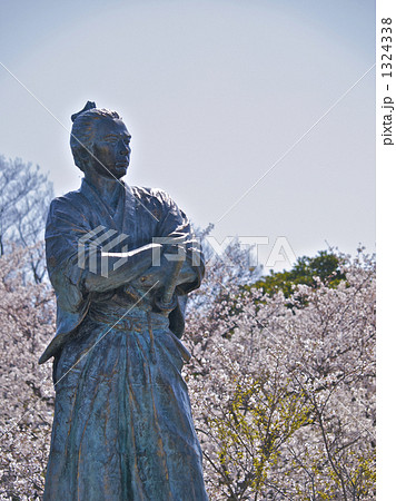 満開の桜と坂本龍馬之像2 満開の桜と坂本龍馬之像2 1324338