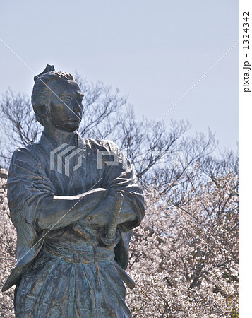 満開の桜と坂本龍馬之像3 満開の桜と坂本龍馬之像3 1324342