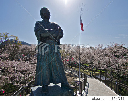 坂本龍馬之像と桜 1324351