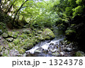 長野県清里高原の川俣川東沢渓谷 1324378