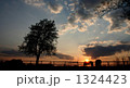 1324423