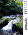 長野県清里高原の川俣川東沢渓谷 1324427