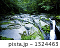 長野県清里高原の川俣川東沢渓谷 1324463