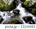長野県清里高原の川俣川東沢渓谷 1324483