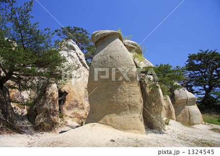 浄土松公園 浄土松公園 1324545