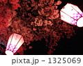 夜桜とちょうちん 1325069