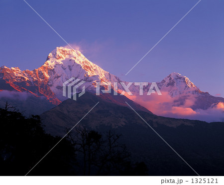 モルゲンロートに染まるアンナプルナサウス 1325121
