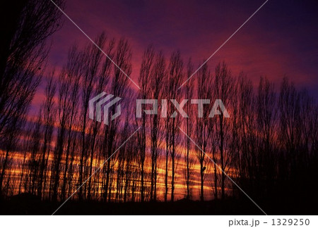 茜空 1329250
