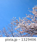 1329406