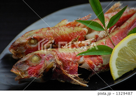 金太郎の塩焼き 1329487