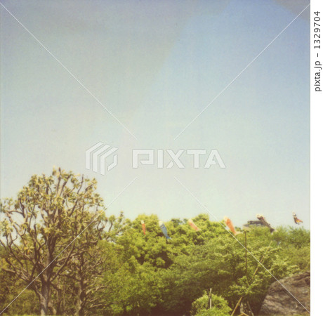 西郷山公園の鯉のぼり 1329704