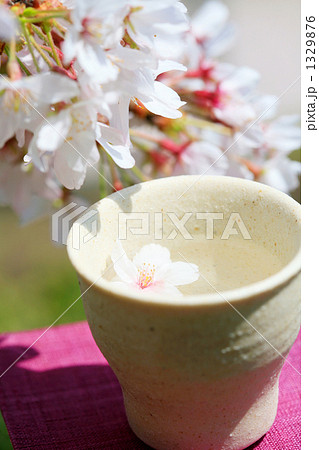 染井吉野とぐい飲みサクラ入り 染井吉野とぐい飲みサクラ入り 1329876