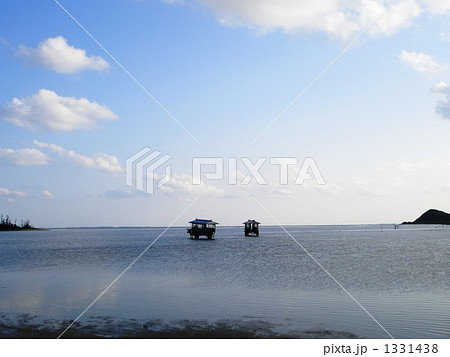沖縄、水牛車 沖縄、水牛車 1331438