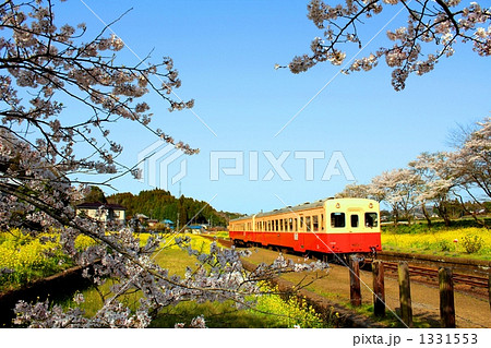 春の小湊鉄道 春の小湊鉄道 1331553