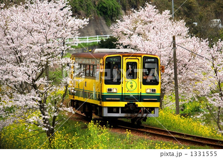 春のいすみ鉄道 1331555
