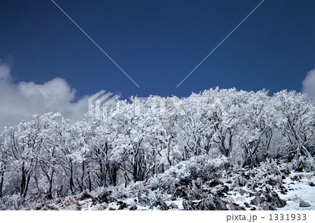 冬の霊仙山 冬の霊仙山 1331933
