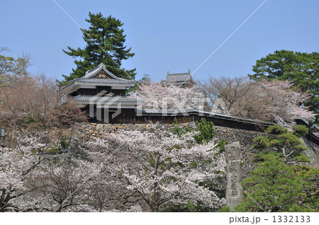 城と桜 城と桜 1332133