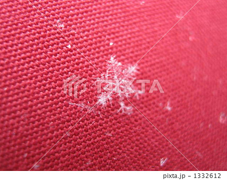 雪の結晶 1332612