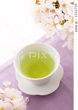 染井吉野と緑茶 1333739