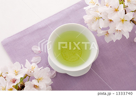 染井吉野と緑茶 1333740