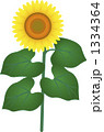 ひまわり 1334364