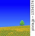 ひまわり畑 1334374