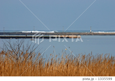 三国湊散歩・九頭竜川河口 1335599