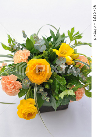 English Arrengement English Arrengement 1335756