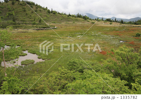 草津白根山 草津白根山 1335782