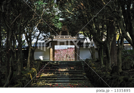 三国湊散歩・瀧谷寺　参道 1335895