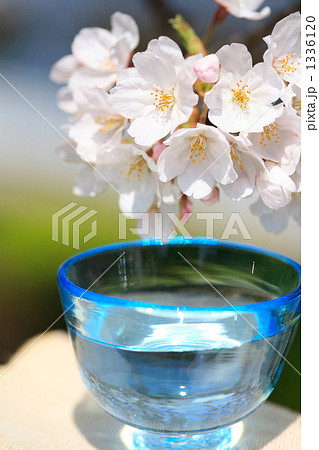 ガラスのお猪口とソメイヨシノあっぷ 1336120