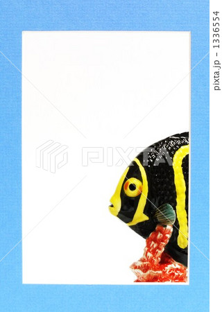 魚が見える風景 1336554