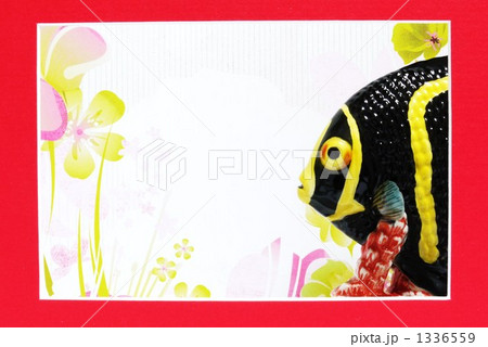 魚が見える風景 1336559