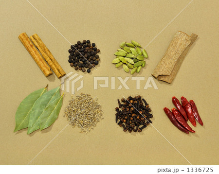 インド料理の基本スパイス インド料理の基本スパイス 1336725