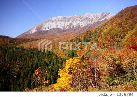 紅葉した大山・鍵掛峠 1336794
