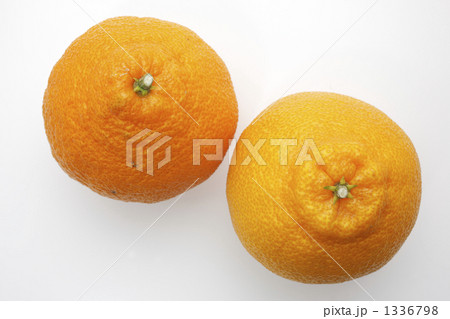 デコポン デコポン 1336798