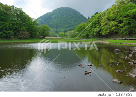新緑が美しい大沼公園 1337855